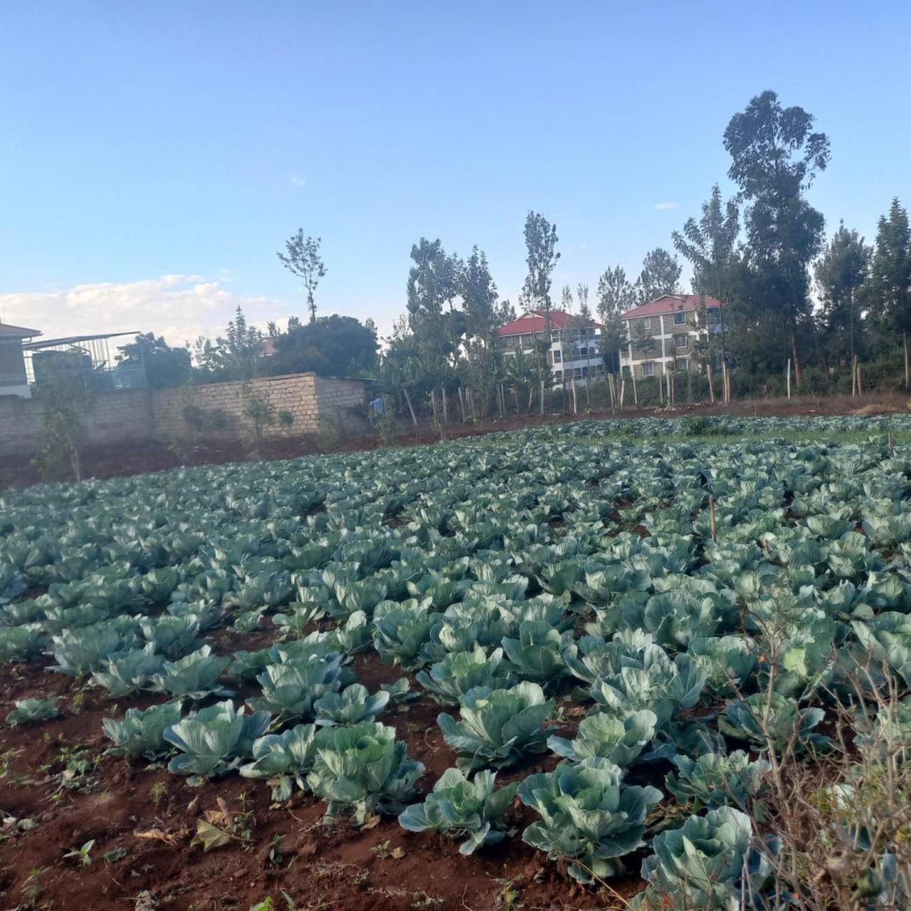 Gatimene Gardens Hotel Meru Exterior photo